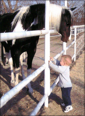 This is my grandson, Jack Henry and Paint Me Ebony (Ebby)...he actually opened the gate and let her out.