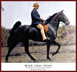 Black Angel, World Grand Champion in 1943