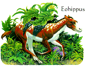 Eohippus - the FIRST gaited horse.