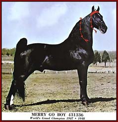 Merry Go Boy, World Grand Champion in 1947 and 1948