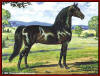 The Justin Morgan horse, Figure - The two families of Morgan blood that are most closely connected to the development of the Tennessee Walking horses are the RATTLERS and the BULLETS.