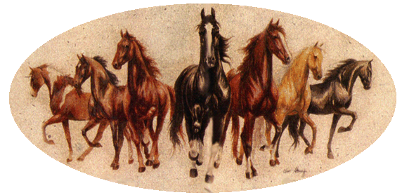 Portrait of the many colors of the Tennessee Walking Horse - by Kim Dabney