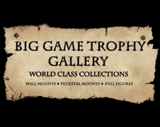 Big game trophies from around the world, offered in collections suitable for lodges, lobbies, boardrooms, senior corporate offices, and private dens - wall mounted, pedestal mounted, and full figures - most unusual gifts guaranteed to make a lasting impression.