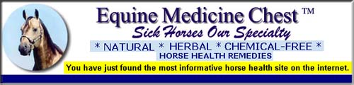 Equine Medicine Chest - you have just found the most informative horse health site on the internet!!  Natural * Herbal* Chemical-Free Horse Health Remedies.