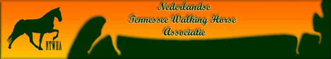 Nederlandse Tennessee Walking Horse Association (NTWHA)