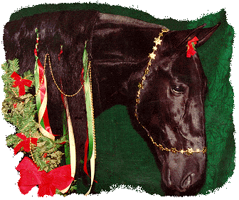 JAMAICA SHAKER 821301 - Click here for pedigree