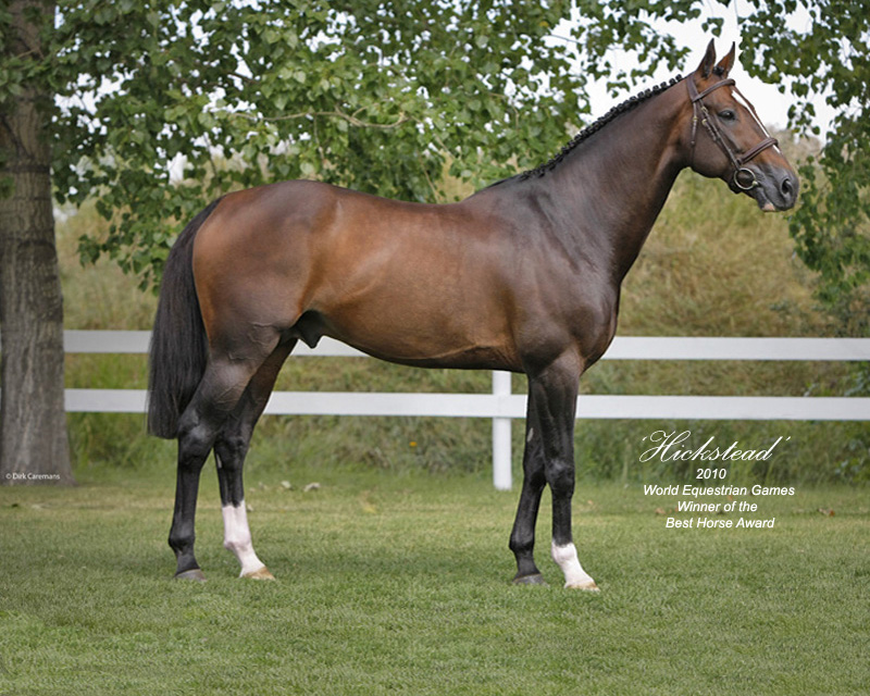Hickstead - click here for desktop size image.