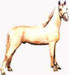 Perlino