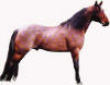 Bay Roan