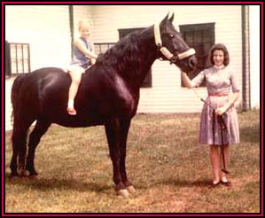 Midnight Sun demonstrating the unsurpassable disposition he passed on to his progeny.