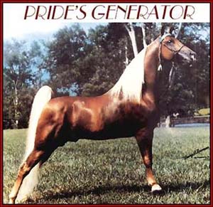 Prides Generator