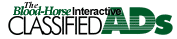 BloodHorse Interactive Classifieds