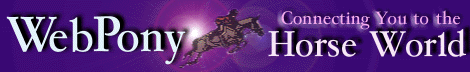 Web Pony Search Engine